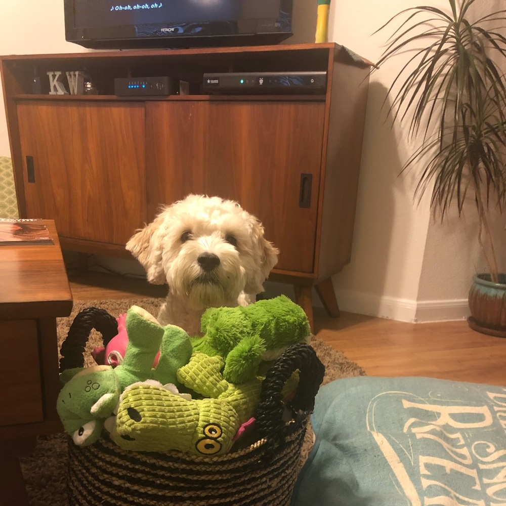 Meet your Posher, Kristen